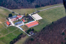 Erdbeerhof Stud Farm and Estate in Gondelsheim in the state Baden-Wuerttemberg, Germany