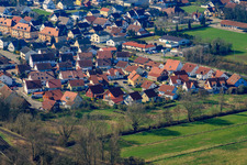Night pasture in Winden in the state Rhineland-Palatinate, Germany