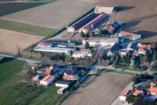 Aerial view of Steinseltz in the state Bas-Rhin, France