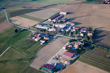 Aerial photograpy of Steinseltz in the state Bas-Rhin, France