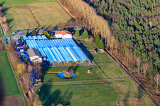 Cactus Land Steinfeld in Steinfeld in the state Rhineland-Palatinate, Germany from above