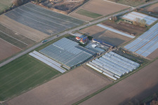 Herxheim bei Landau in the state Rhineland-Palatinate, Germany out of the air