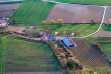 Anton Winery (Production) Am Schambach in Herxheim bei Landau in the state Rhineland-Palatinate, Germany