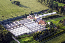Glass roof areas in the greenhouse rows for flower cultivation in the district Steinbach in Baden-Baden in the state Baden-Wuerttemberg, Germany