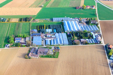 Aerial photograpy of Appich Nursery in Kleines Feldle in Möglingen in the state Baden-Wuerttemberg, Germany