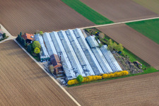 Oblique view of Appich Nursery in Kleines Feldle in Möglingen in the state Baden-Wuerttemberg, Germany