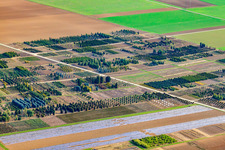 Schillinger H.-J. and S. Nursery, Im Kornfeld in Möglingen in the state Baden-Wuerttemberg, Germany