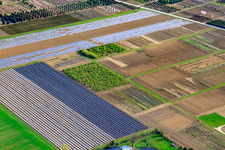 Aerial view of Schillinger H.-J. and S. Nursery, Im Kornfeld in Möglingen in the state Baden-Wuerttemberg, Germany
