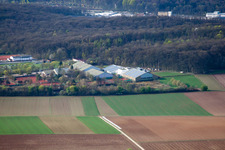 Tennis court Grand Slam sports facility Emerholzweg in the district Stammheim in Stuttgart in the state Baden-Wuerttemberg, Germany