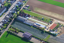Kugelmann organic farm on Sonnenweg in Kandel in the state Rhineland-Palatinate, Germany