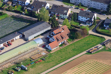 Oblique view of Kugelmann organic farm on Sonnenweg in Kandel in the state Rhineland-Palatinate, Germany