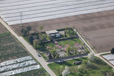 Cemetery in Erlenbach bei Kandel in the state Rhineland-Palatinate, Germany