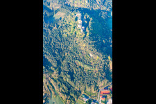 Bird's eye view of Ruin Old-Dahn in Dahn in the state Rhineland-Palatinate, Germany