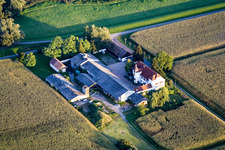 Hofgut Ludwigsau am Rhein in the district Maximiliansau in Wörth am Rhein in the state Rhineland-Palatinate, Germany