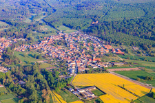 Village view north of the Lauter in Scheibenhardt in the state Rhineland-Palatinate, Germany