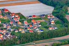 Flower ring in the district Hardtwald in Neupotz in the state Rhineland-Palatinate, Germany from the drone perspective