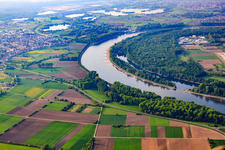 Altlußheimer Altrhein at the Speyer Rhine curve in Speyer in the state Rhineland-Palatinate, Germany
