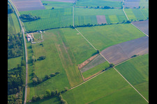 Aerial view of Herrenteich airfield on the banks of the Rhine in Hockenheim in the state Baden-Wuerttemberg, Germany