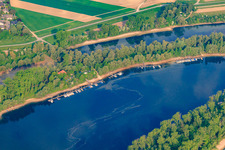 Aerial view of Boat dock of the sailing club Otterstadt (SCO), club grounds at the Otterstadt Althrein in Otterstadt in the state Rhineland-Palatinate, Germany