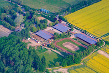 Aerial view of Riding Club Altrip eV in Altrip in the state Rhineland-Palatinate, Germany