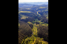 Valley of the Wüsteichelsbach in Eppenbrunn in the state Rhineland-Palatinate, Germany