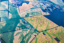 Field mosaic with drought damage in the district Warnstedt in Thale in the state Saxony-Anhalt, Germany