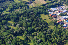 Bienwald in Jockgrim in the state Rhineland-Palatinate, Germany