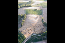 Isola di Fano in the state The Marches, Italy from the drone perspective