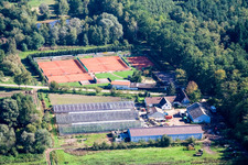 Waldhof Frey and tennis court at Bienwald in Steinfeld in the state Rhineland-Palatinate, Germany