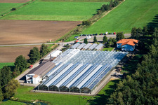 Cactus Land Steinfeld in Steinfeld in the state Rhineland-Palatinate, Germany out of the air