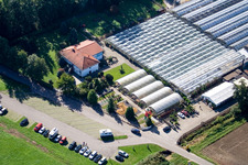 Aerial photograpy of Cactus Land in Steinfeld in the state Rhineland-Palatinate, Germany