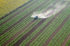 Aerial view of Alberoro in the state Tuscany, Italy