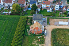 Chestnut Path in Steinweiler in the state Rhineland-Palatinate, Germany