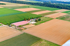 Aerial photograpy of Equestrian center Fohlenhof in Steinweiler in the state Rhineland-Palatinate, Germany