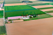 Equestrian center Fohlenhof in Steinweiler in the state Rhineland-Palatinate, Germany from above