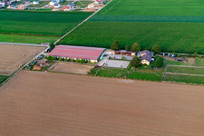 Equestrian center Fohlenhof in Steinweiler in the state Rhineland-Palatinate, Germany out of the air