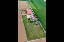 Foal farm in Steinweiler in the state Rhineland-Palatinate, Germany