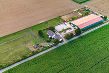 Equestrian center Fohlenhof in Steinweiler in the state Rhineland-Palatinate, Germany from the drone perspective