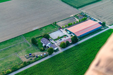 Equestrian center Fohlenhof in Steinweiler in the state Rhineland-Palatinate, Germany from a drone