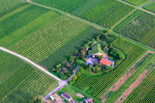 Winemakers under the grass roof in the district Wollmesheim in Landau in der Pfalz in the state Rhineland-Palatinate, Germany
