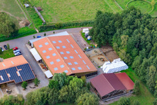 Bird's eye view of Bienwald Icelandic Horse Stud in Freckenfeld in the state Rhineland-Palatinate, Germany