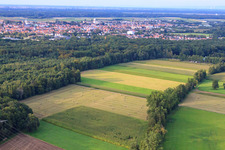 Bruchbach-Otterbach lowlands in Kandel in the state Rhineland-Palatinate, Germany