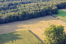 Aerial view of Bruchbach-Otterbach lowlands in Kandel in the state Rhineland-Palatinate, Germany