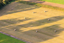 Hay bales in the Bruchbach-Otterbach lowlands in Kandel in the state Rhineland-Palatinate, Germany
