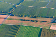 Hay bales in the meadows between vineyards and fields in Essingen in the state Rhineland-Palatinate, Germany