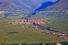 Village view between vineyards from the east in the morning light in Hainfeld in the state Rhineland-Palatinate, Germany