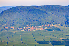 Village view between vineyards from the east in the morning light in Weyher in der Pfalz in the state Rhineland-Palatinate, Germany