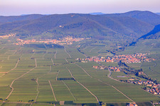 View of the town from the east. In the background Burrweiler on the edge of the Haardt in the Palatinate Forest in the morning light. in Hainfeld in the state Rhineland-Palatinate, Germany