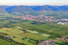 City view from the southeast. In the background St. Martin am Haardtrand of the Palatinate Forest in the morning light in Edenkoben in the state Rhineland-Palatinate, Germany