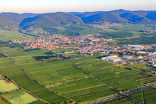 Aerial photograpy of City view from the southeast. In the background St. Martin am Haardtrand of the Palatinate Forest in the morning light in Edenkoben in the state Rhineland-Palatinate, Germany